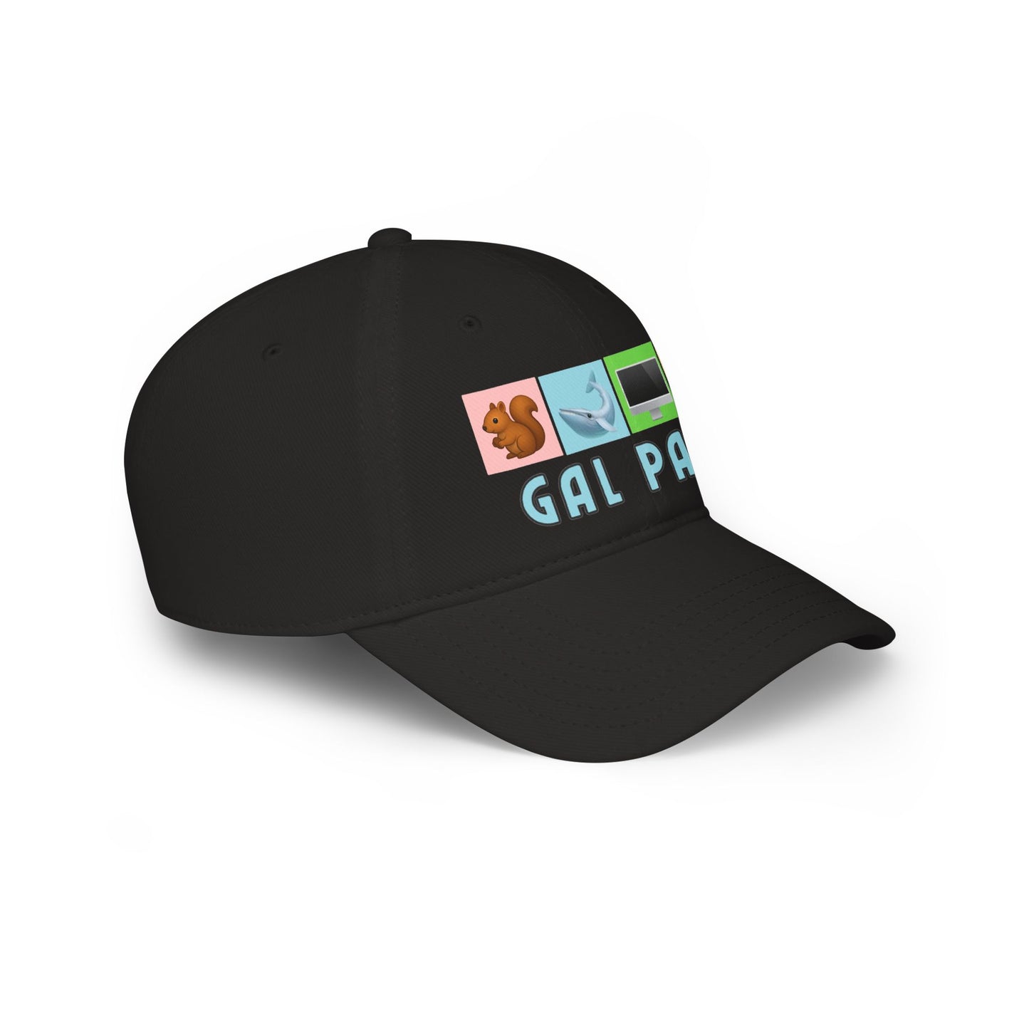 Low Profile Baseball Cap